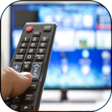 in.tv.remote.control.dish