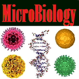 com.onlineeducare.basicmicrobiology