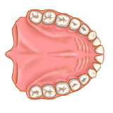 com.diablo.dentistpro