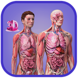 com.tritecapp.humananatomy