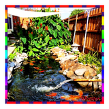 com.fishpondideas.Silvester