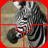 com.ladikapps.zebra.hunter.sniper2016