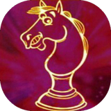 com.chess.tanz