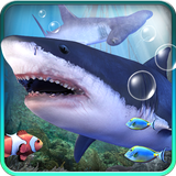 com.iimmobile.sharkaquarium
