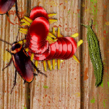 com.ciempiescontra.bichos