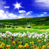 com.blackbirdwallpapers.springnature