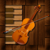 tr.com.alyaka.alper.professionalviolin