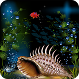 com.orchid.conch