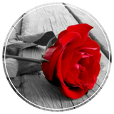 ir.fanitwo.myapp