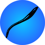 com.leech.app