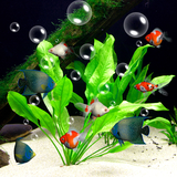 com.minato.aquarium.fish