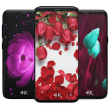 com.khamarnache.rosewallpapers.offline