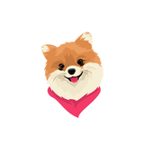 devwp.ir.pupylinksite