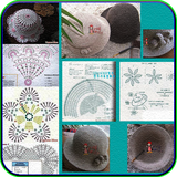 com.feandroyuya.crochethatpatterns
