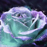 com.freewps.threedroselivewallpaper