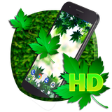 com.apusapps.livewallpaper.greenleaf_e97c64c8