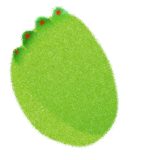 org.sptg.ieda.succulentleight