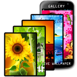 appwala.photogallery.livewallpaper