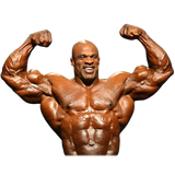 ir.itjar.bodycoachdemo