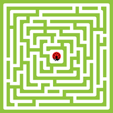 com.mobirix.playmaze