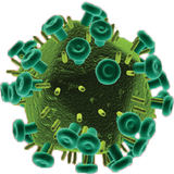 com.virology.vet