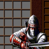 com.draco.ludere.shinobi3