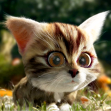 com.digitalmind.kittyquest