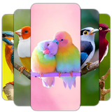 com.HdWallpaper.BirdWalppaper