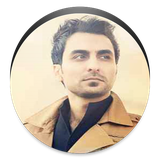 ir.alz.aminhabibi