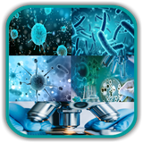 com.andromo.dev658544.app944228