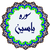 com.yasin.dhj