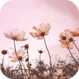 com.leafgreen.floral
