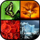 com.handyapps.photowallfx