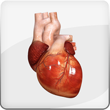com.rxprism.HeartMate3LVAD
