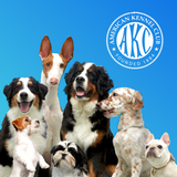 org.akc.akcmtb