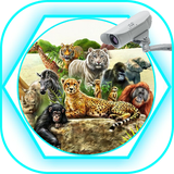 com.appdevl.zoo