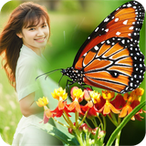 com.CheerUp.butterflyframe.butterflycollage.photoframe