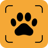 com.devgroup.pets