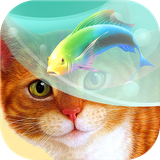 com.d8games.gameforcat
