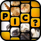 whats.the.pic.quiz