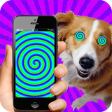 com.KamaBulletGameLab.HypnotizerForDog