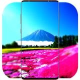 com.SceneryWallpaper.sceneryimage.scenerybackground.wallpaper