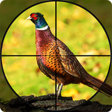 com.play.vertex.bowmaster.pheasant.hunting.birds.shooting.free.games