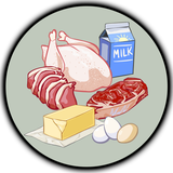 vet.inspection.app
