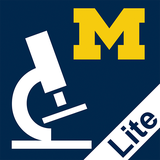 edu.umich.histolite