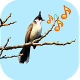 com.aseantech.animalsounds