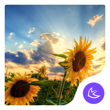 com.apusapps.theme.i_face_the_sun_5ab3cd8c92