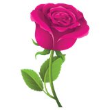 com.mirages.roses.stickers