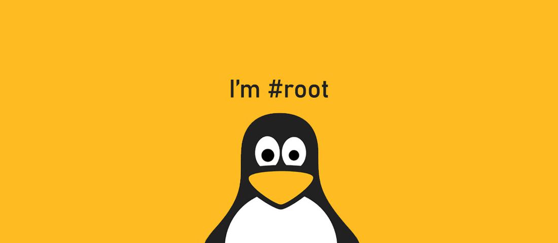 آسیب‌پذیری Netfilter در لینوکس