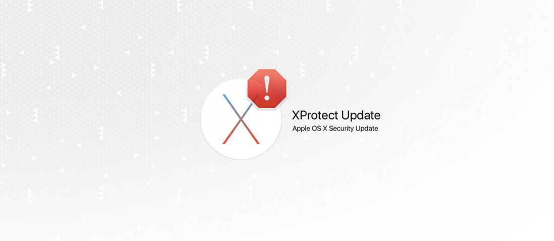 به‌روزرسانی جدید ایکس پروتکت